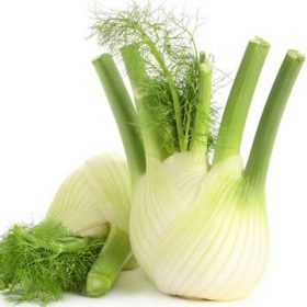 Fennel