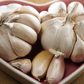 Garlic