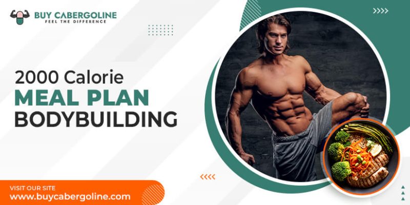 2000 calorie meal plan bodybuilding